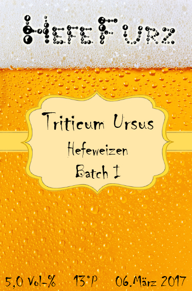 Hefefurz_Triticum_Ursus